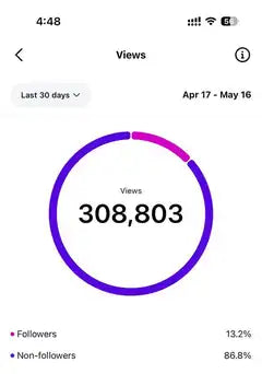 Instagram analytics showing 308,803 views over 30 days